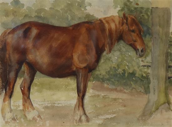 Harry Fidler, watercolour, Study of a chestnut horse, 25 x 34cm